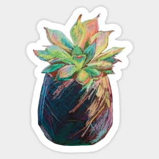 Indoor cactus plant Sticker